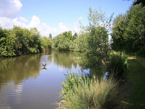 Camping Mirabel Les Prairies de la Mer - Camping Calvados - Image N°4
